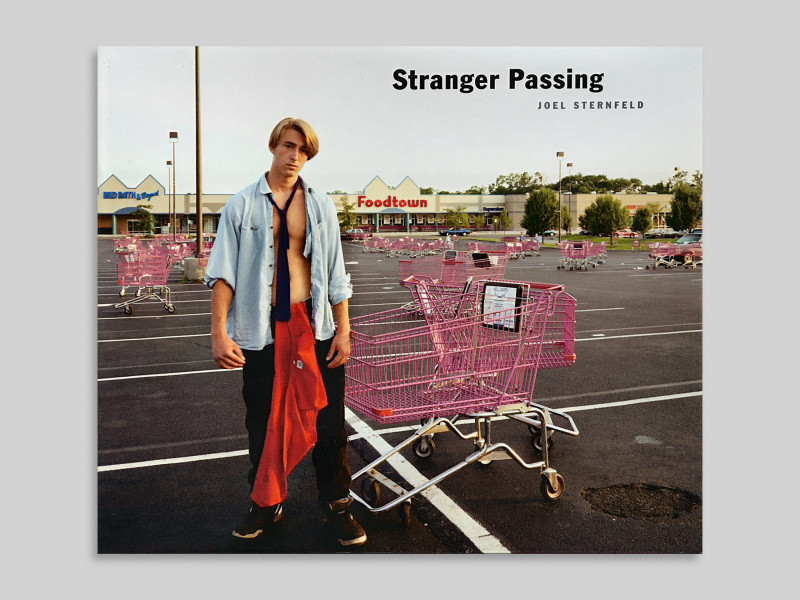 Joel Sternfeld – Stranger Passing, 2001 | Publications | Buchmann